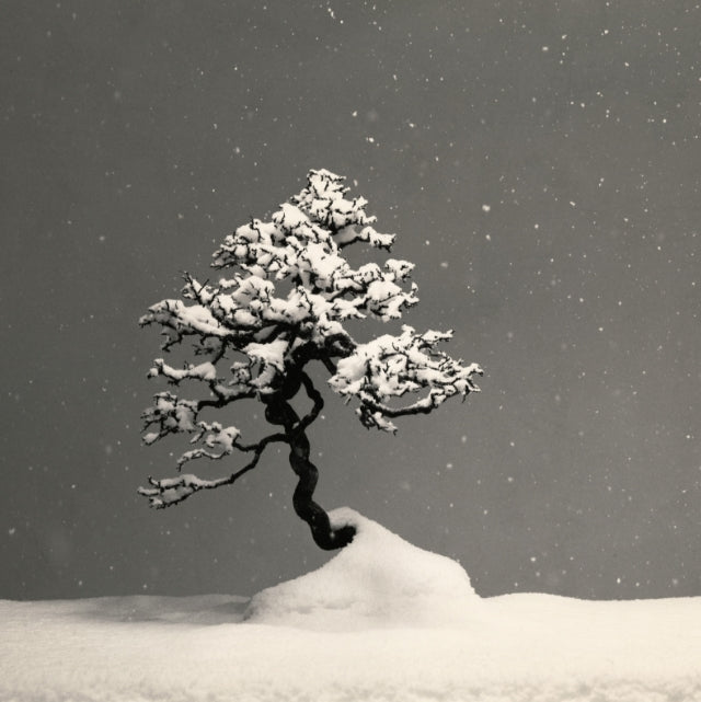 BONSAI