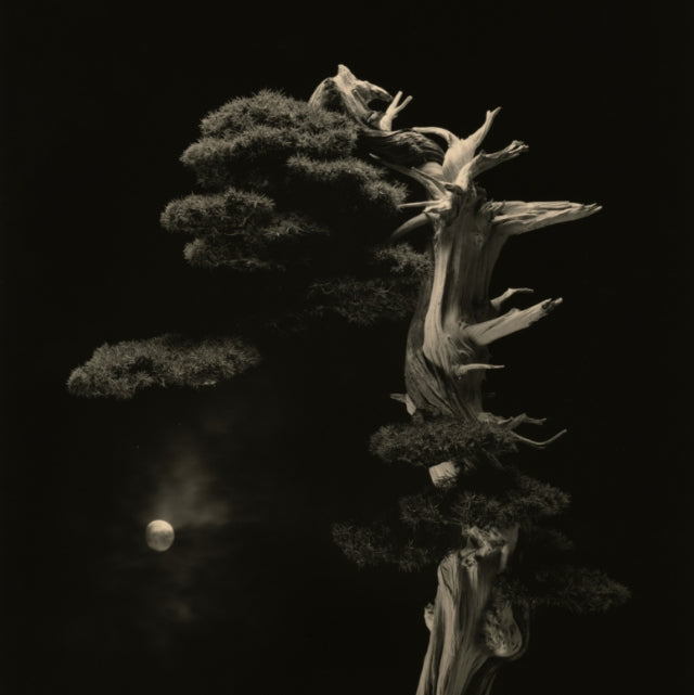 BONSAI