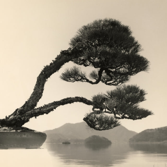 BONSAI