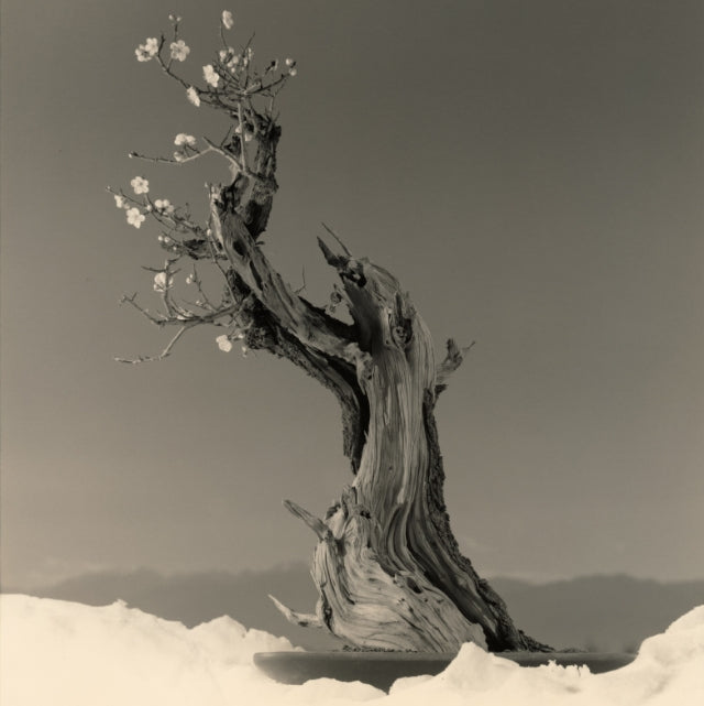 BONSAI