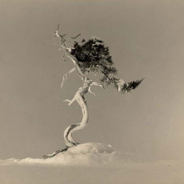 BONSAI