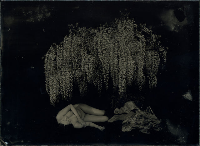 AMBROTYPE
