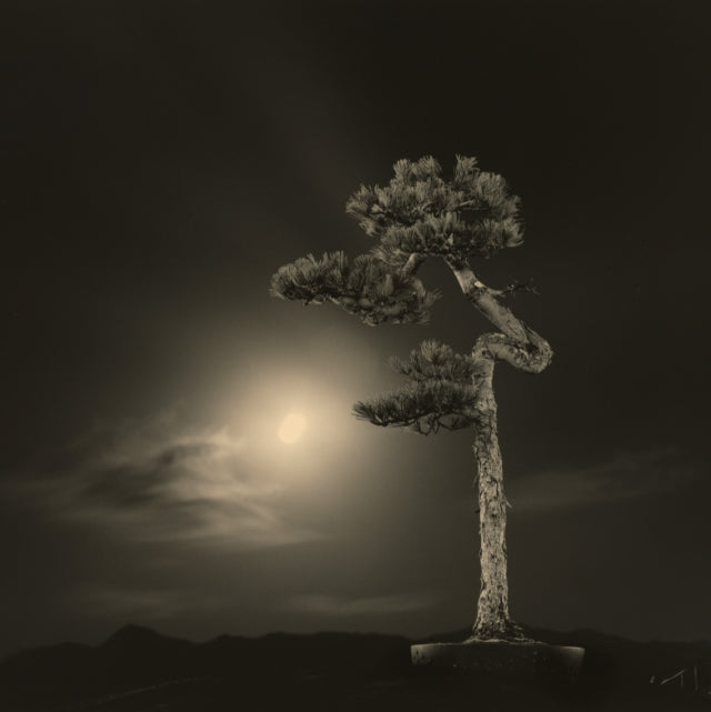 BONSAI
