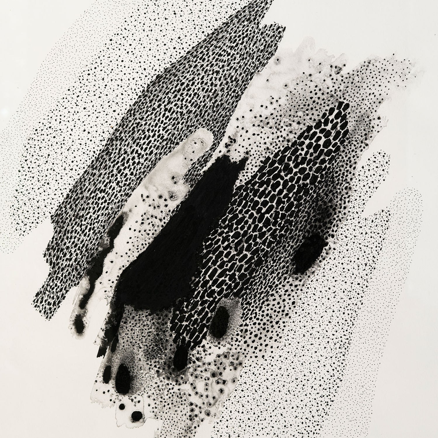 POUDRE NOIRE 1