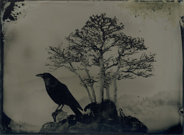 AMBROTYPE