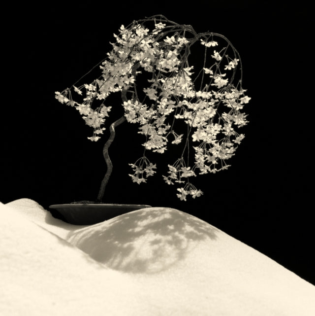 BONSAI