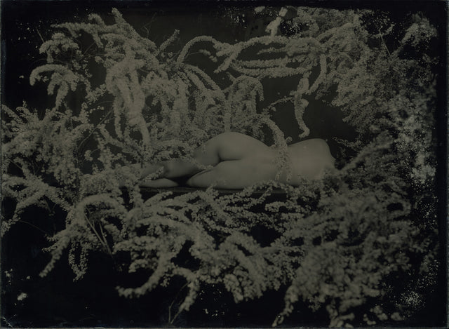 AMBROTYPE