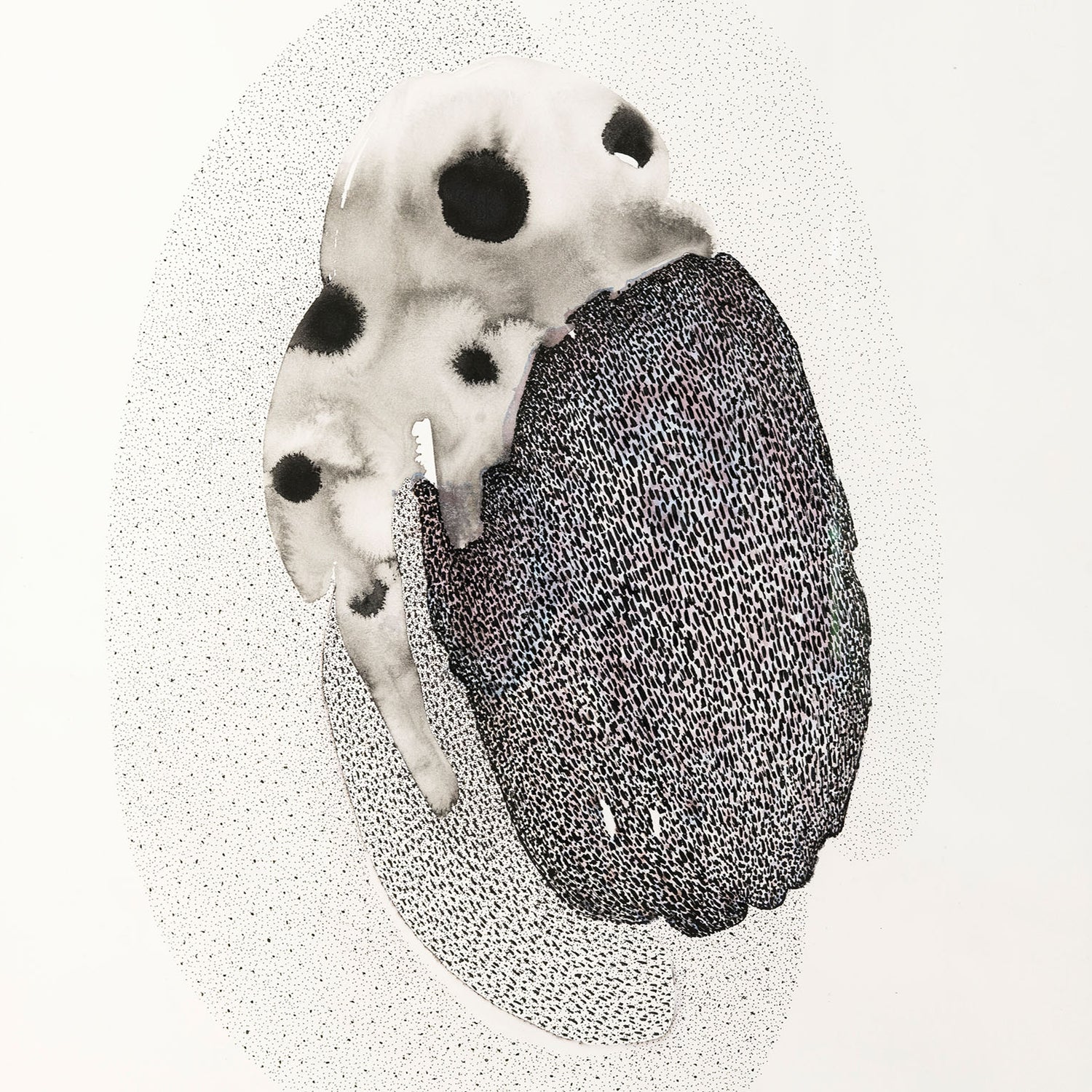 CELLULES 1