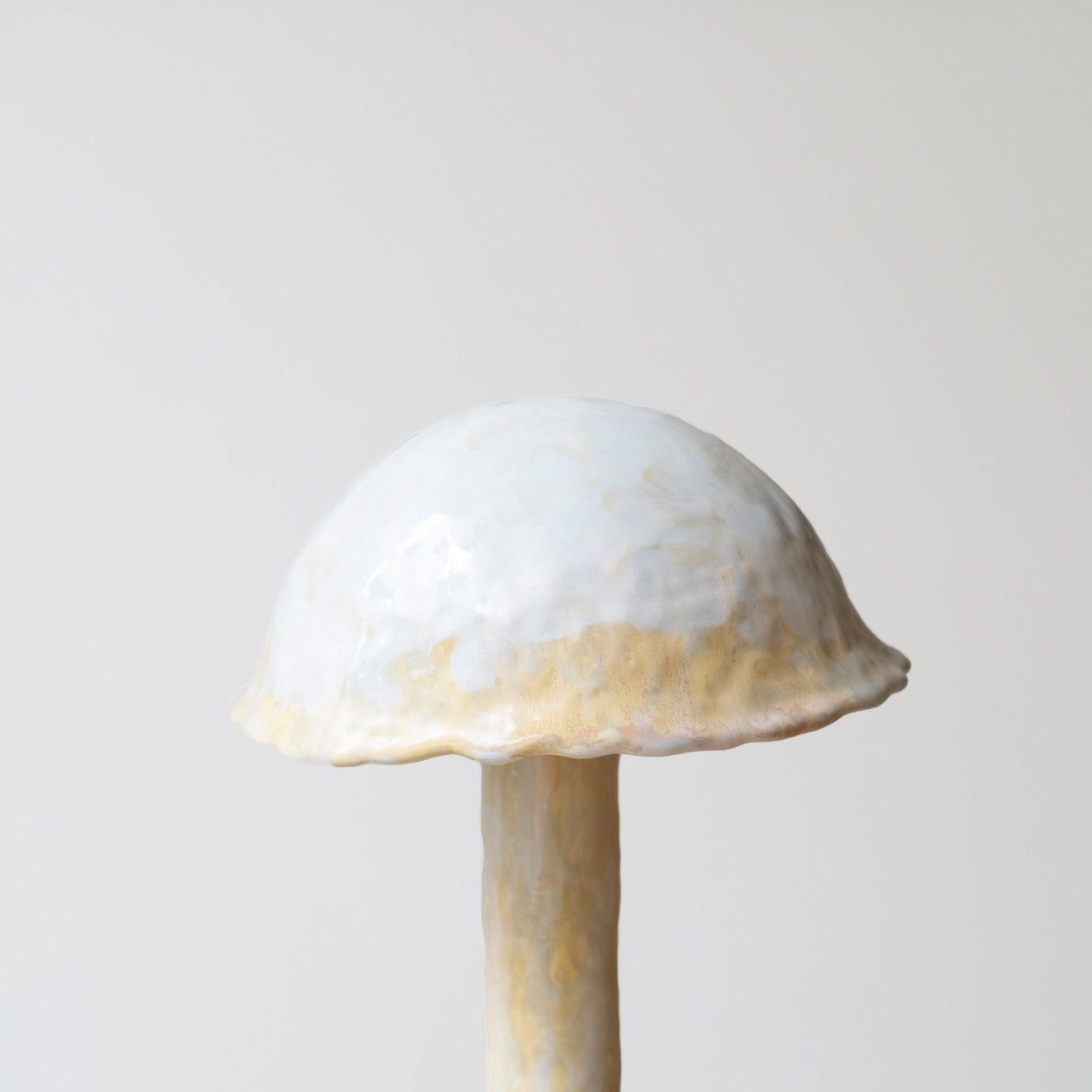 FUNGI MUSHROOM