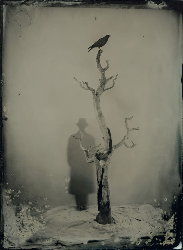 AMBROTYPE