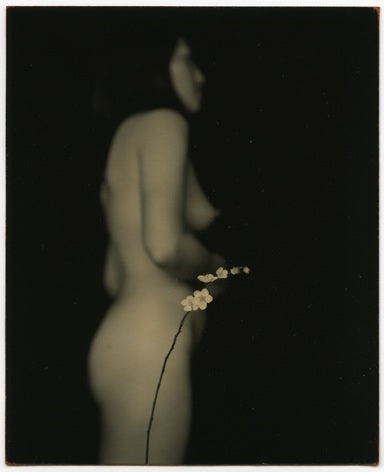 #1244