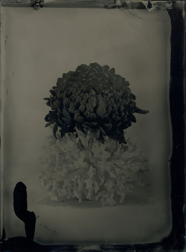 AMBROTYPE