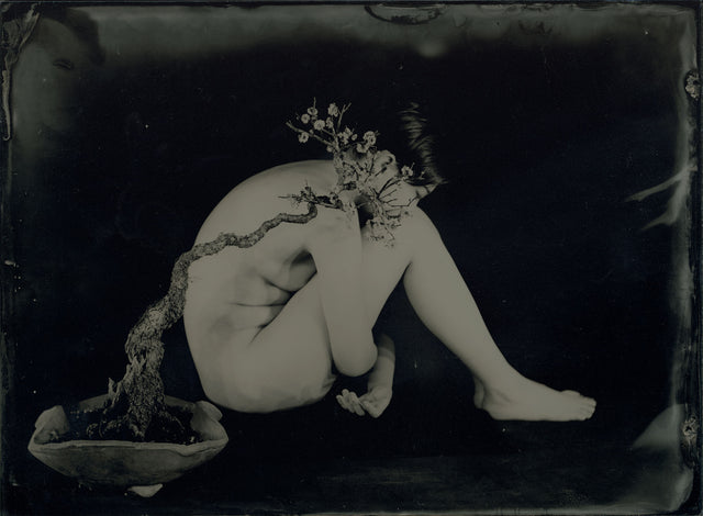 AMBROTYPE