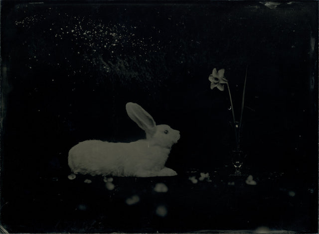 AMBROTYPE