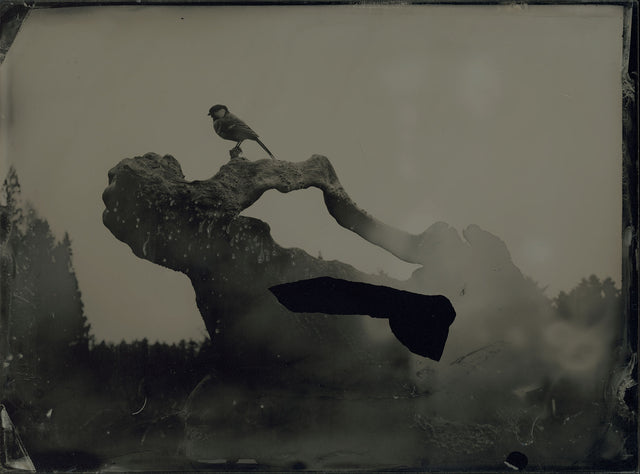 AMBROTYPE