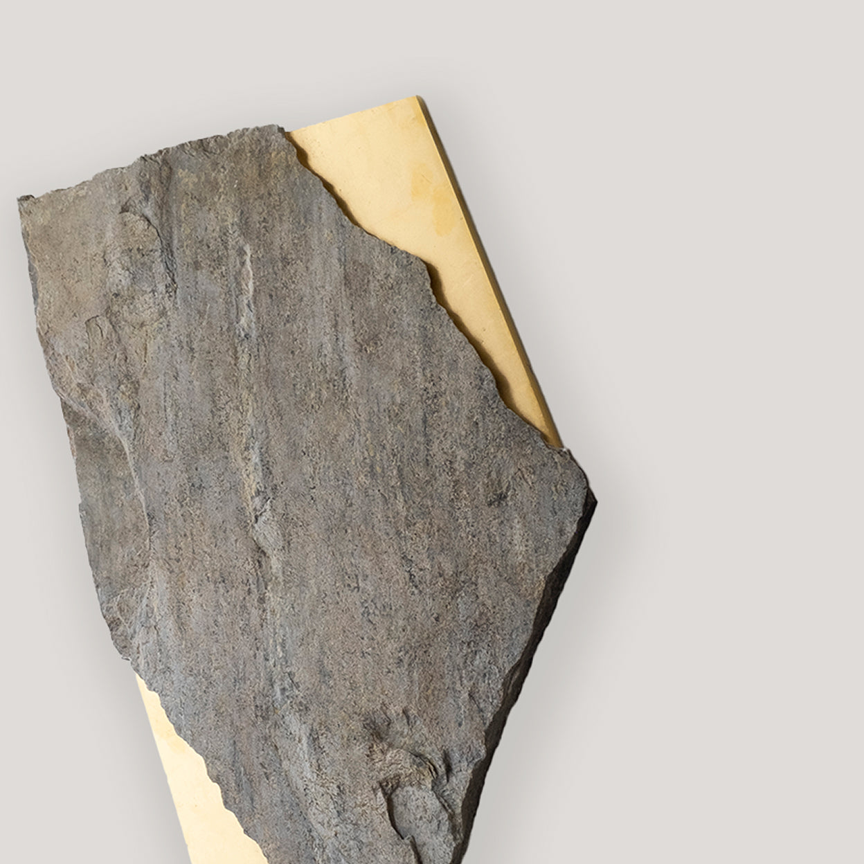SEZIONE AUREA 005