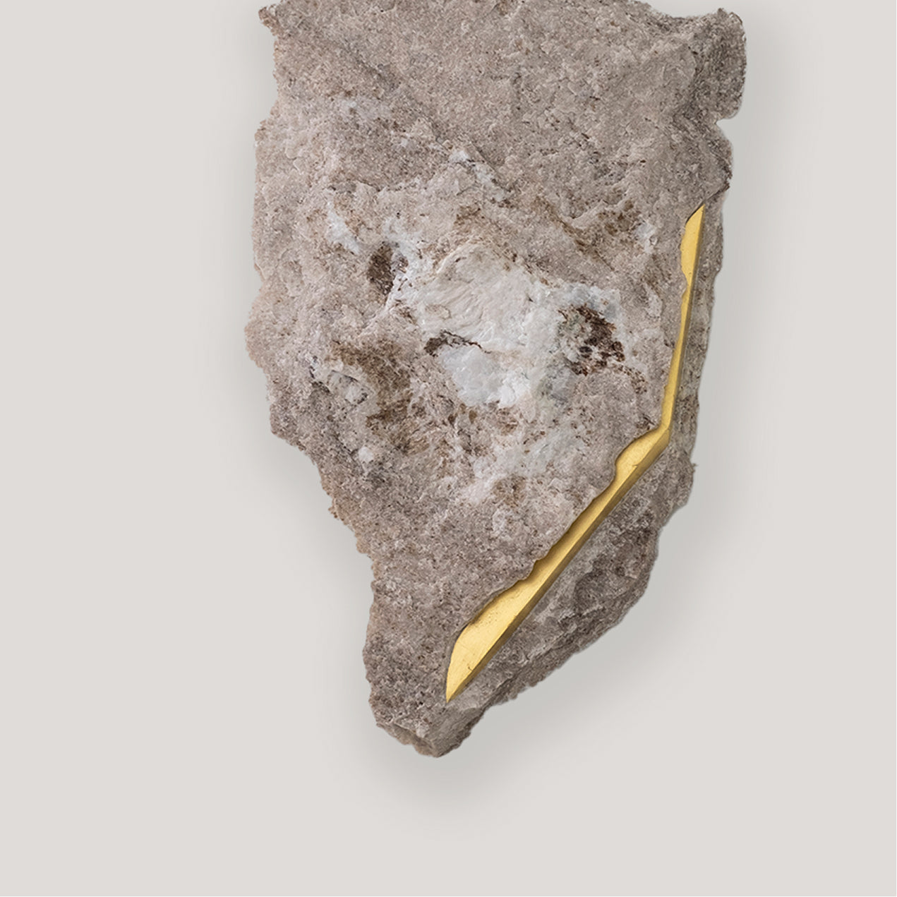 SEZIONE AUREA 021
