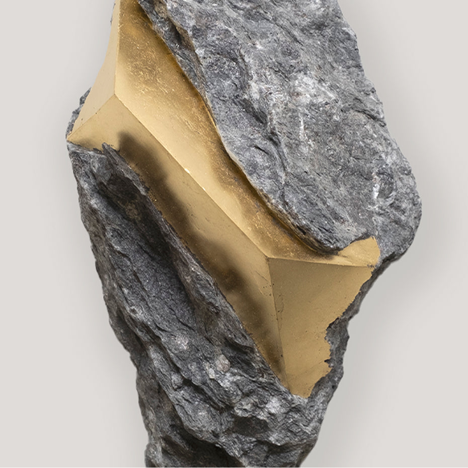 SEZIONE AUREA 022