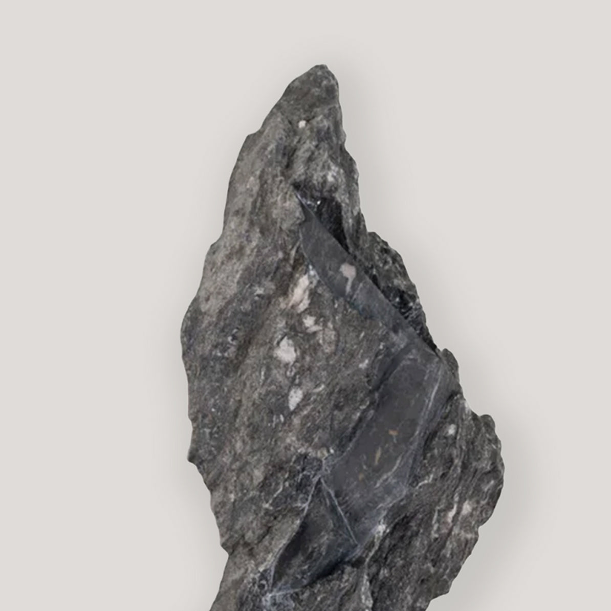 SW22