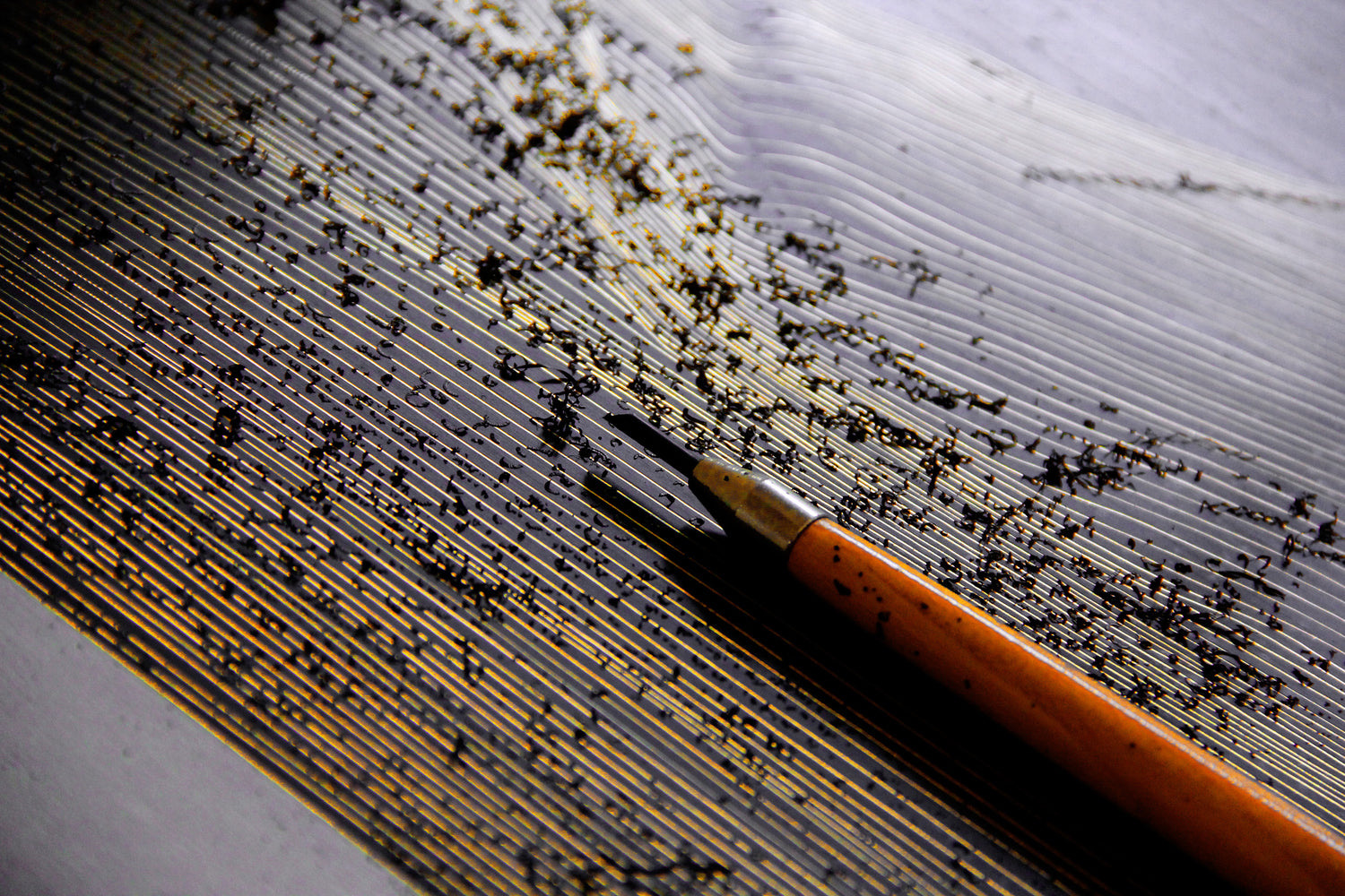 Each Line Of Breath