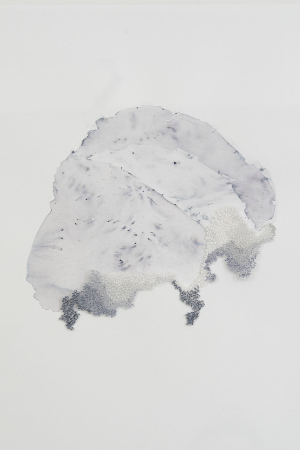 LES PARADIS PERDUS 1