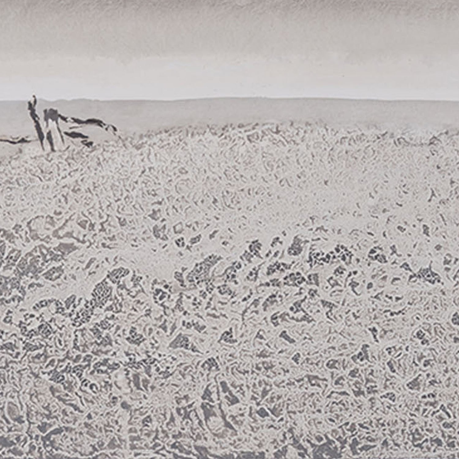 Sollitude habitée I