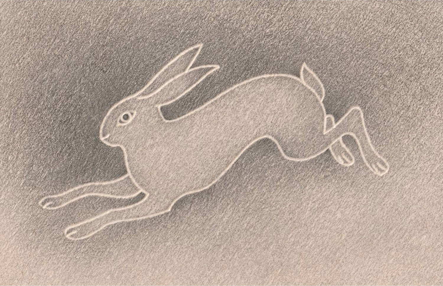 DRAWING HARE
