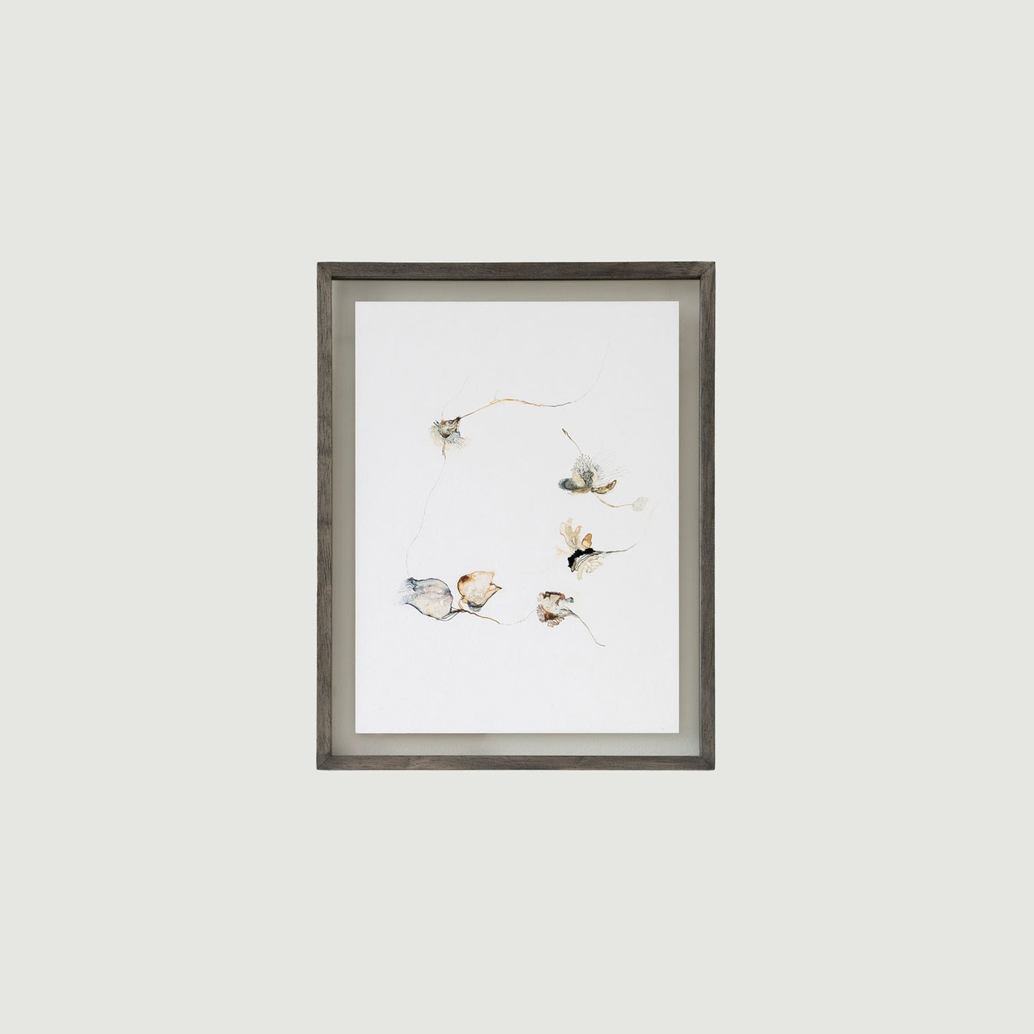 Ligurian Sea - XХIV