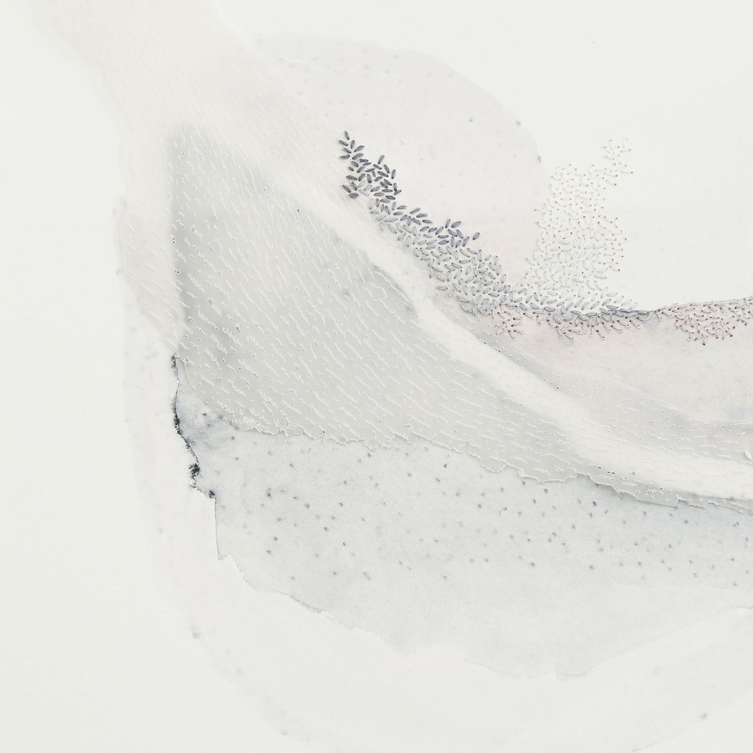 LES PARADIS PERDUS 2