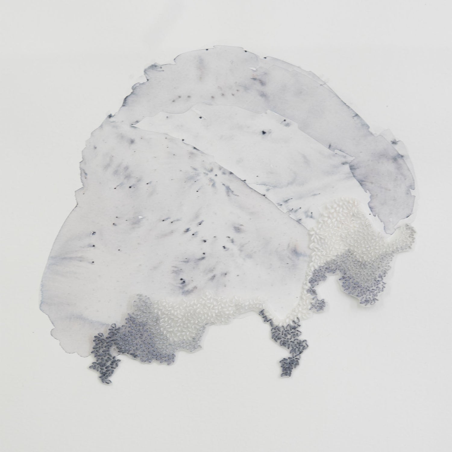 LES PARADIS PERDUS 1