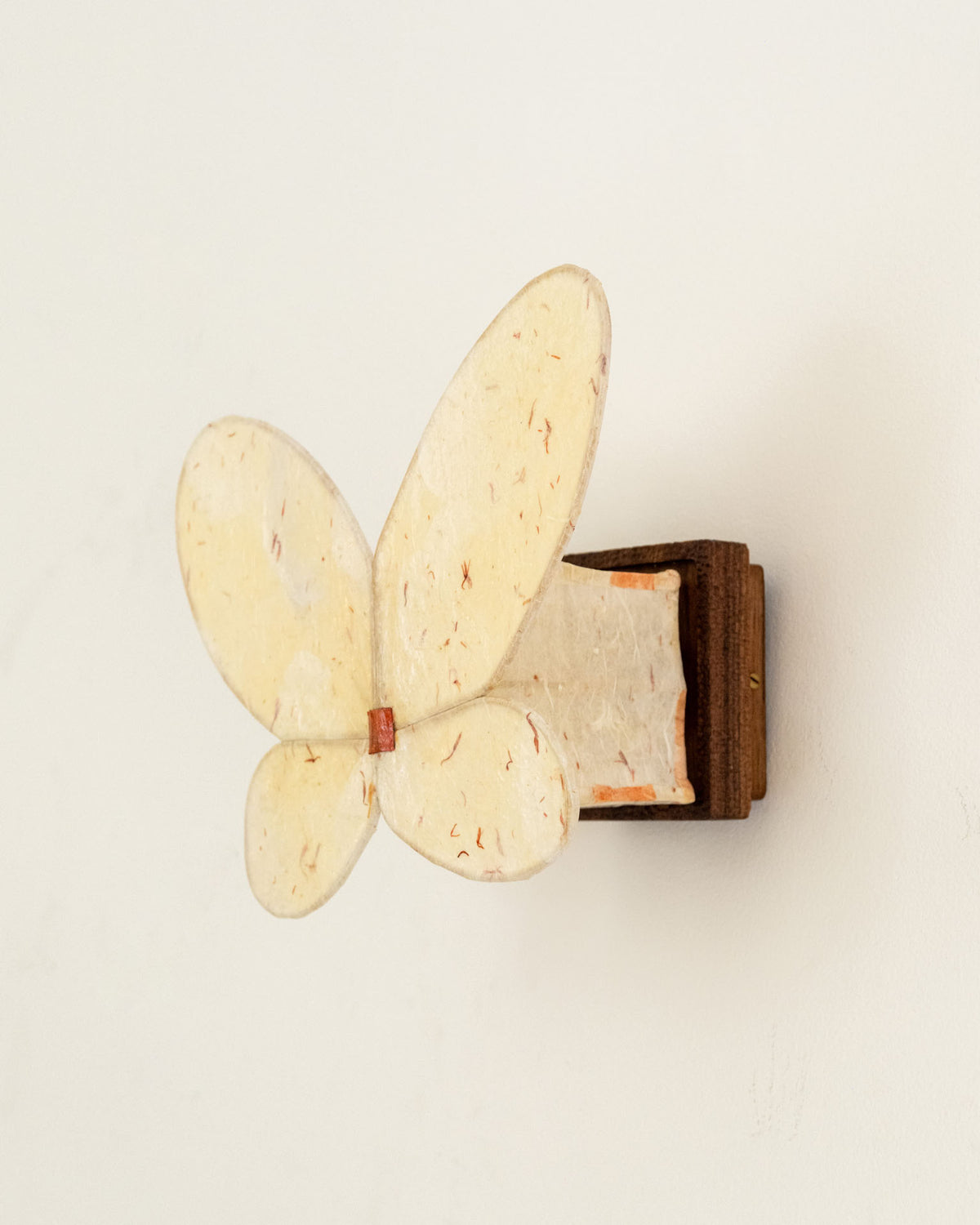 DREAM CATCHER SCONCE
